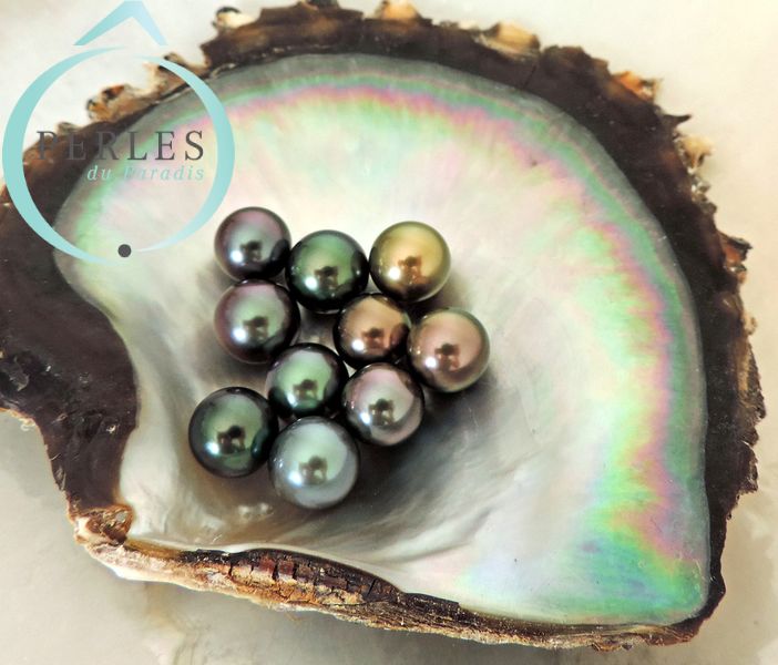 Les Perles de Culture de Tahiti ont des Couleurs Naturelles très Variées