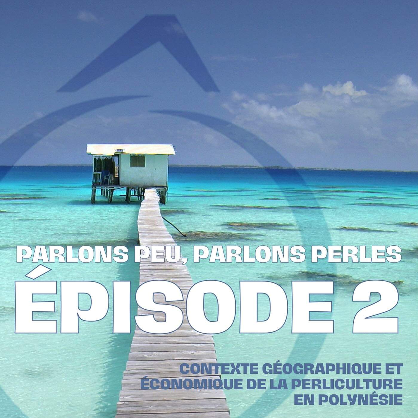 Découvrez les spécificités géographiques, écologiques et économiques de la perliculture polynésienne - Episode 2